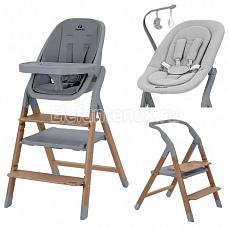 Carrello Ergo 4в1 Night Grey