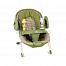 Graco Swing N Bounce