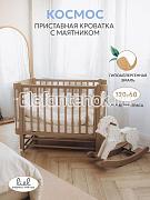 LEO Космос с маятником