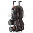 Hartan Buggy iX1