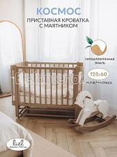 LEO Космос с маятником Мокко