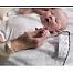 SwaddleDesigns Подарочный набор для новорожденного Organic Gift Set 