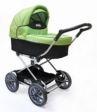 Milli Jenis kiwi