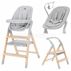 Carrello Ergo 4в1 Nordic Grey