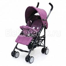 Jetem Concept (Жетем Концепт) Wine