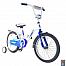 Rich Toys Aluminium BA Ecobike 16"