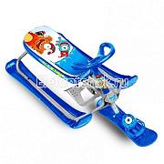 Rich Toys Penguin Sport 2 авторуль 