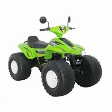 Chien Ti Big Beach Racer (CT-658) green