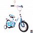 Rich Toys Aluminium BA Ecobike 12"