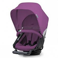 Orbit Baby Color Pack grape