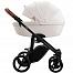Bebetto Luca PRO (2 в 1)