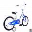 Rich Toys Aluminium BA Ecobike 16"