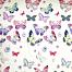 Giovanni Shapito Butterfly (2 предмета) (Джованни Шапито Баттерфляй)