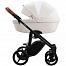 Bebetto Luca PRO (2 в 1)