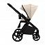 Sweet Baby Elegante Therma Colore (2 в 1)