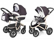 Esspero Discovery 2 в 1 Grey Leves (шасси Beige)