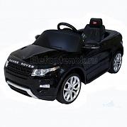 Rastar Range Rover Evoque