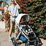 UPPAbaby Vista (Аппабеби Виста)