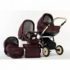 Car-Baby Concord Lux 3 в 1 color G-55